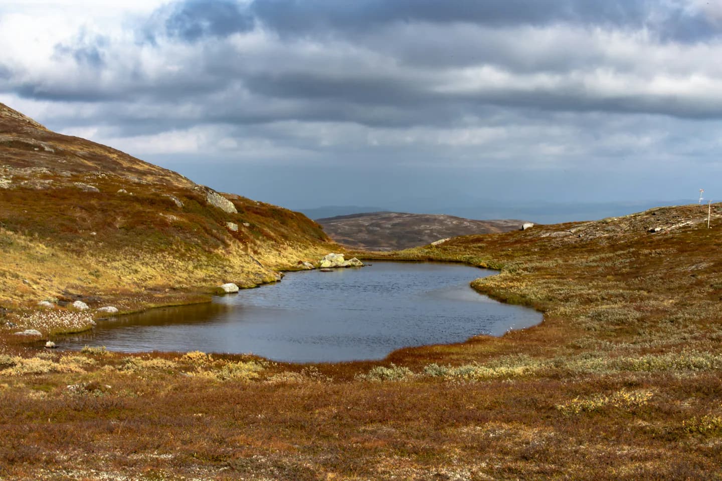 Höstfärgat kalfjäll med en tjärn och fjäll i bakgrunden.