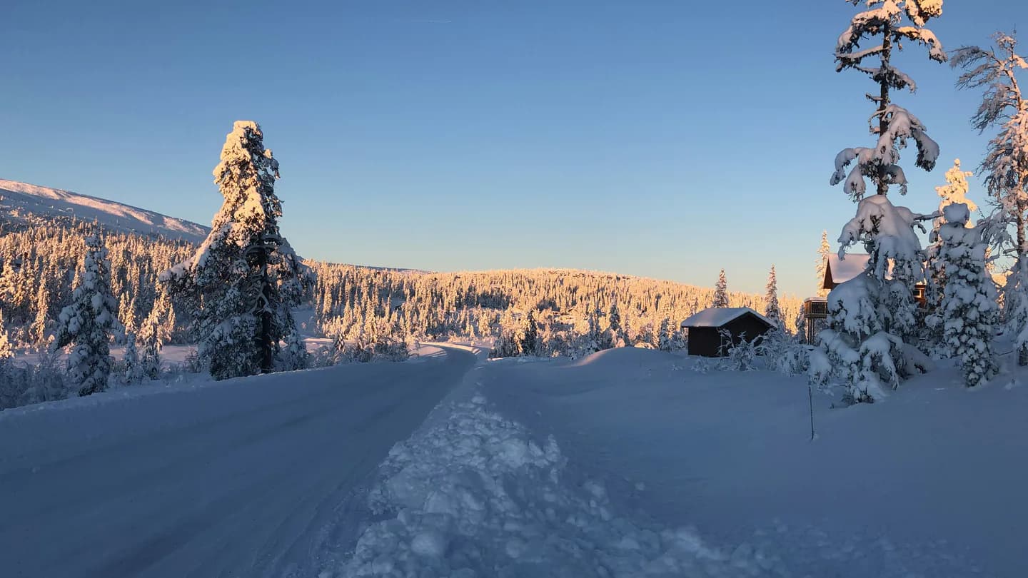 Liten stuga vid en plogad väg i ett snölandskap med frostiga granar i solsken.